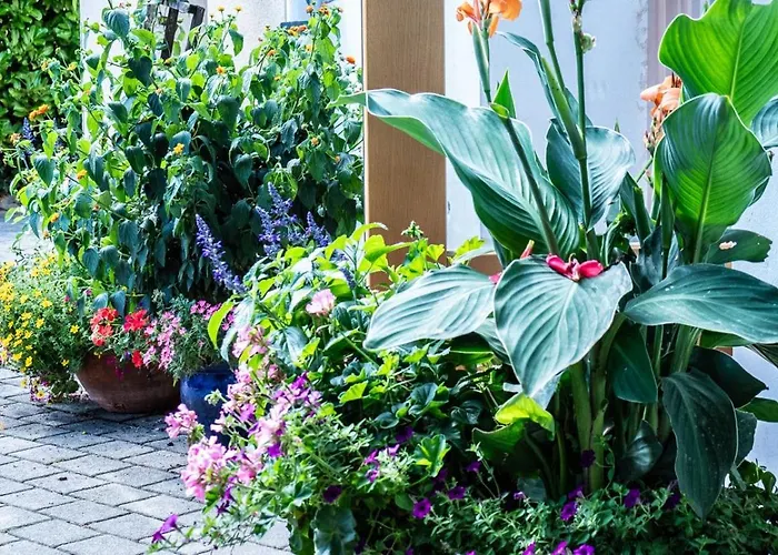 فندق Rueckert غراتس