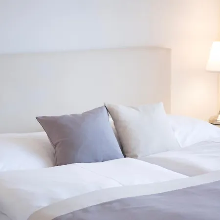 吕克特别墅酒店 3* 格拉茨