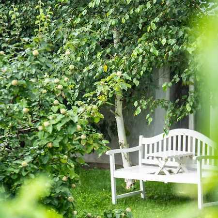 吕克特别墅酒店 格拉茨