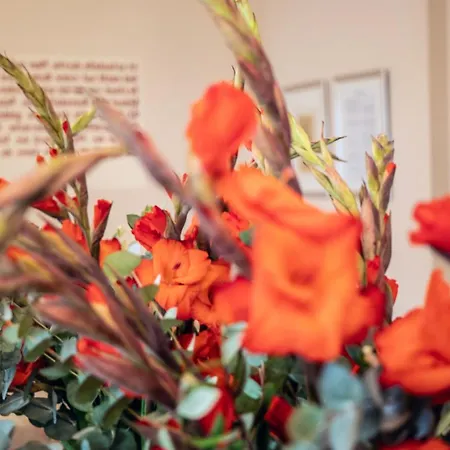 酒店 吕克特别墅酒店 3*